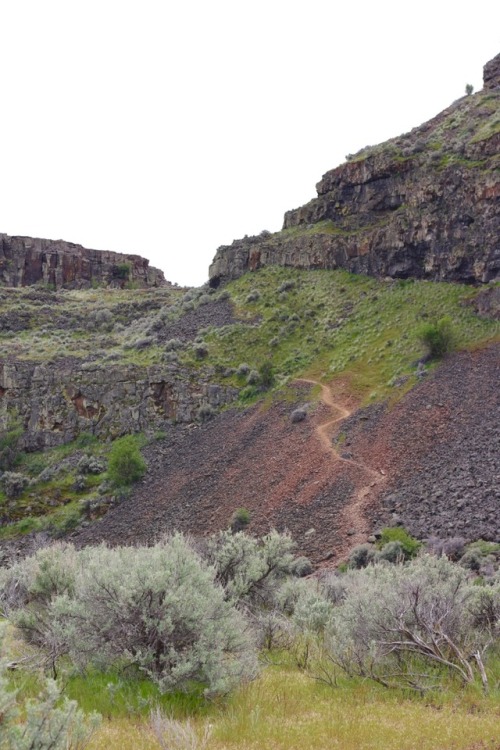 Soil field study conducted around Ancient Lakes in eastern Washington. What a beautiful hidden spot.