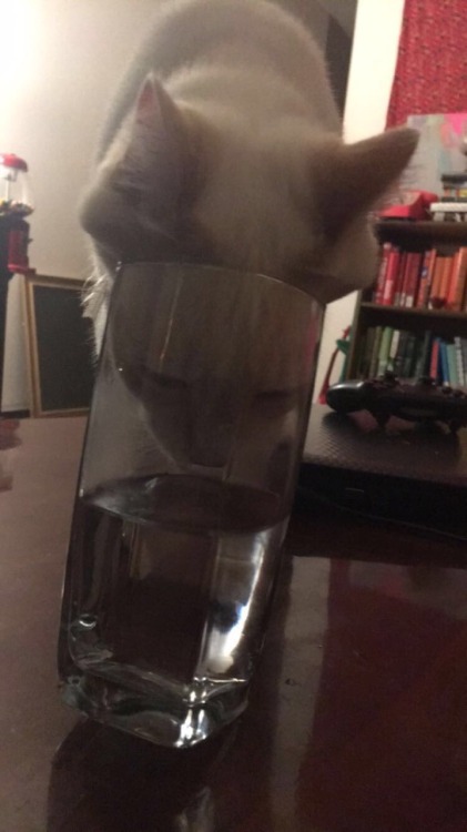 when mom’s water is way better than your own ft luna(submitted by @keepingupwiththekardacheyen