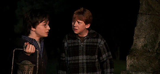 movie-gifs:  Harry Potter and the Chamber of Secrets (2002) dir. Chris Columbus