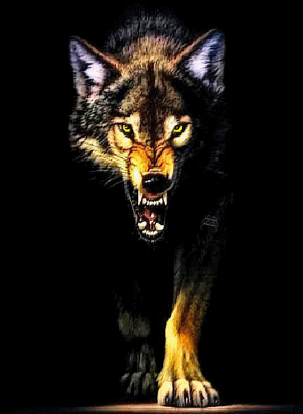wolfeverything:The beast