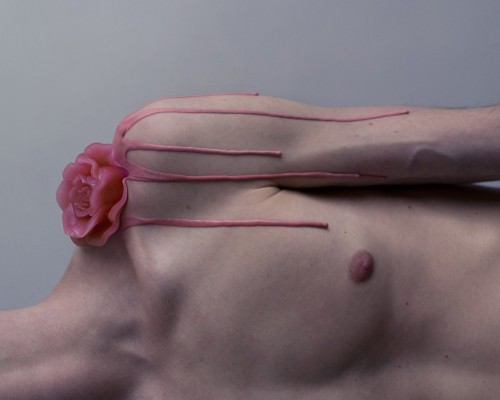 ellacalm:    Brooke DiDonato   