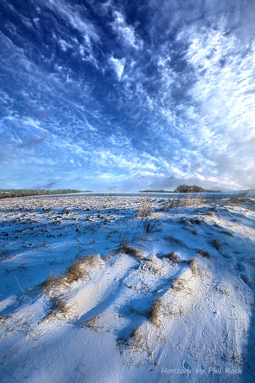 philkoch:“January Blues”Wisconsin Horizons by Phil KochTurning natural landscapes into portraits of 