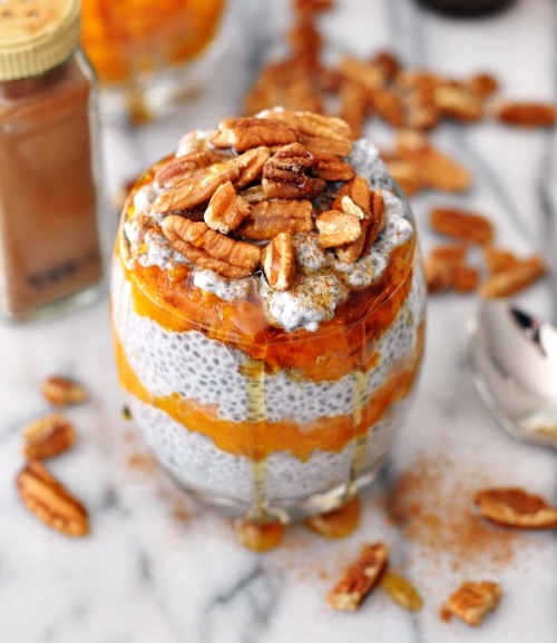 happyvibes-healthylives: Pumpkin Chia Pudding