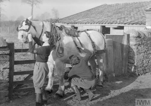 Women&rsquo;s Land Army training at the WLA training centre at Cannington Farm, Somerset (England, c