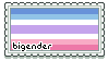 a stamp with the bigender flag and text that reads 'bigender'