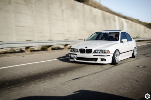 sickest-whips