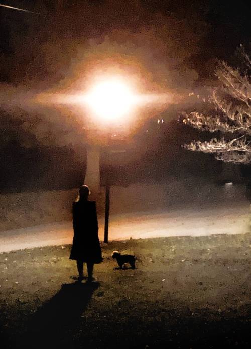 Silhouette Against Streetlamp, Prospect KY
