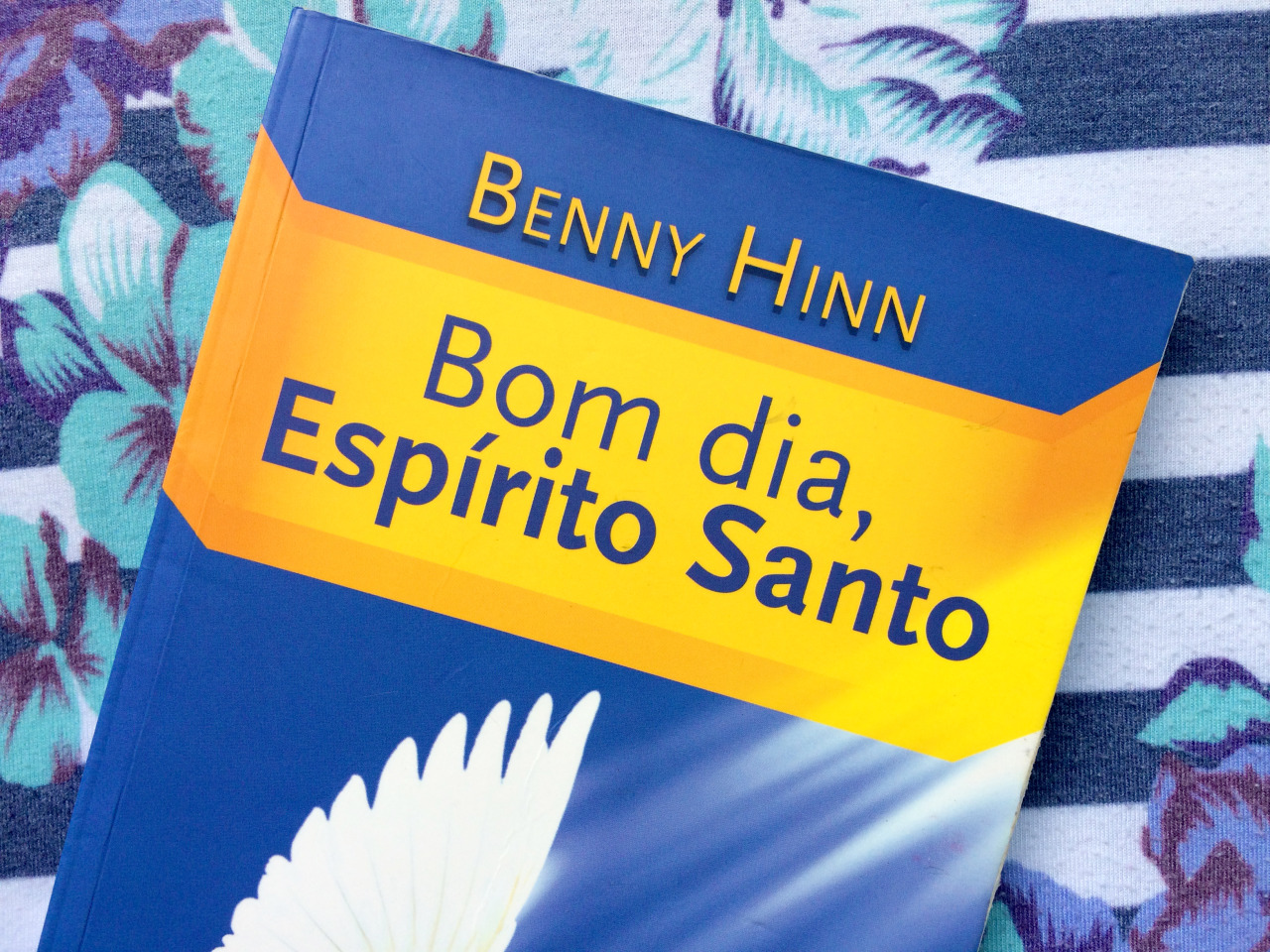 Ideias Coloridas - Livro: Bom Dia, Espírito Santo - Benny Hinn