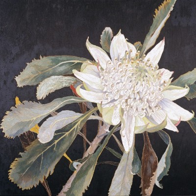 huariqueje:
“ White Waratah-Cropped - Cressida Campbell, n/d
Australian, b.1960-
Carved woodblock, hand painted in watercolour pigment , 51.5 x 57.0 cm block
”