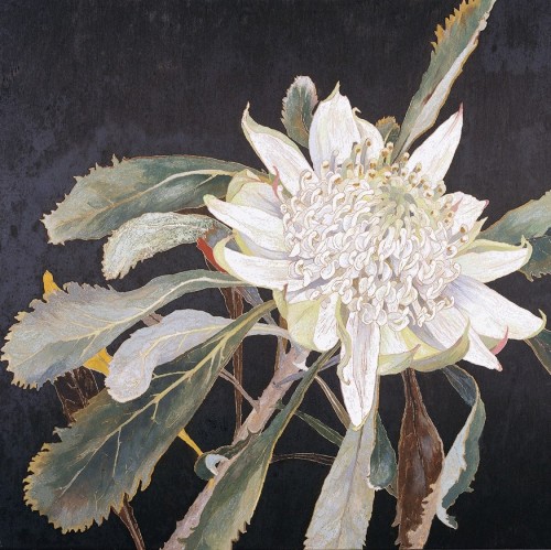 huariqueje:  White Waratah-Cropped   -    Cressida Campbell, n/d Australian, b.1960- Carved woodblock, hand painted in watercolour pigment ,   51.5 x 57.0 cm block   