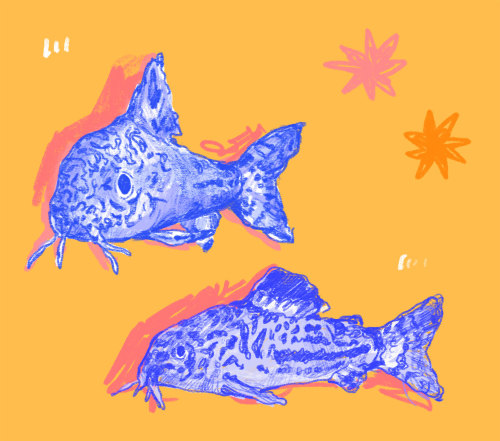 julykings: little fish &lt;3