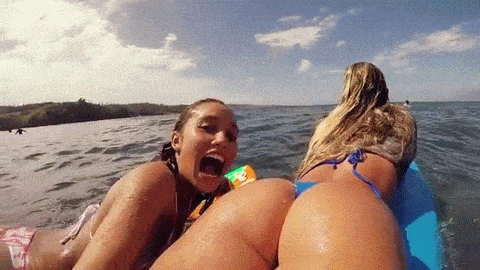 alexisnation:  http://alexisnation.tumblr.com