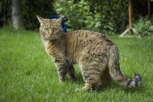 A LOVING BOY + Socke. Bietigheim+Bissingen, 2015.Artem...