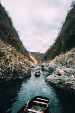 farther-feelings:  vintage & nature 