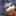 reblog this and put your birthday in the tags so your followers know