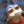 reblog this and put your birthday in the tags so your followers know