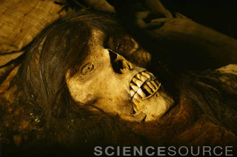 sciencesourceimages - Inca Mummies Of Peruby Mark CartwrightThe...