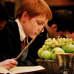 thetallawkwardginger:songbard5683:fiestyhysteria:The child actors in Harry Potter would do their act