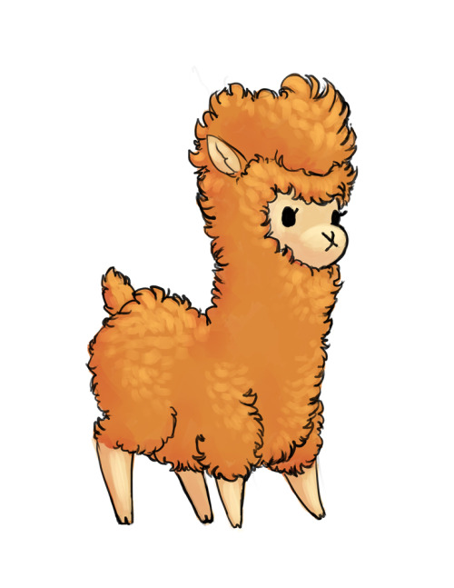 Doodled a cute dopey little alpaca today <3