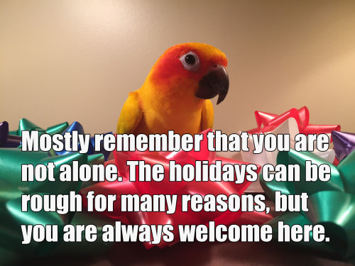 pepperandpals: If your family makes the holidays suck, congrats! You’ve been adopted by my bir