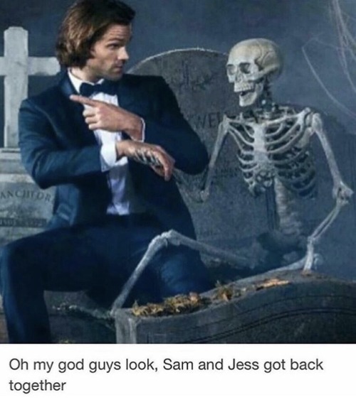 bitch-jerk-assbutt-supernatural - i’m sorry…but these are pretty...