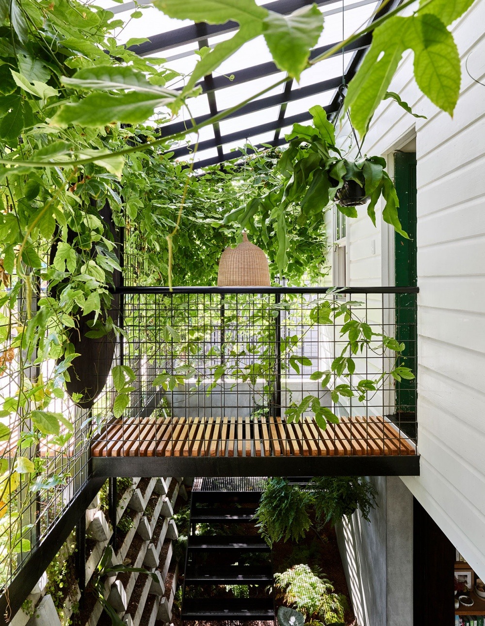 kazu721010:  Terrarium House / John Ellway ArchitectPhotos © Toby Scott