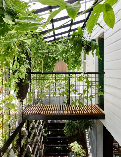 kazu721010 - Terrarium House / John Ellway ArchitectPhotos ©...