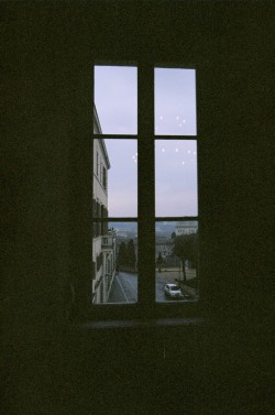 carpe diem.