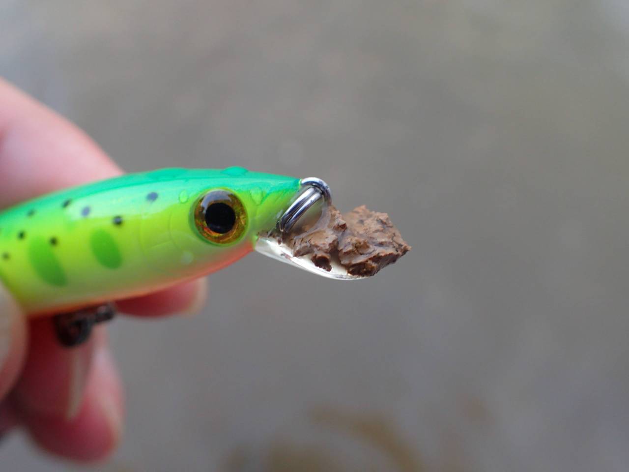水辺のできごと 朱鞠内湖 イトウを求めて初のフィールドへ 備忘録 18 06 04 水辺のできごと 朱鞠内湖 イトウを求めて初のフィールドへ 備忘録 18 06 04
