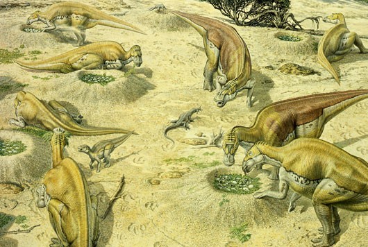 Maiasaura, a model organism for extinct vertebrate population