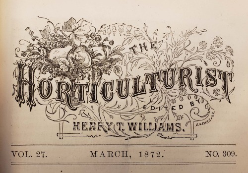 From: The horticulturalist and journal of rural art and rural taste. New York : Henry T. Williams, 1