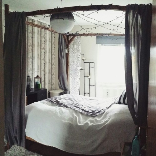 dream bed