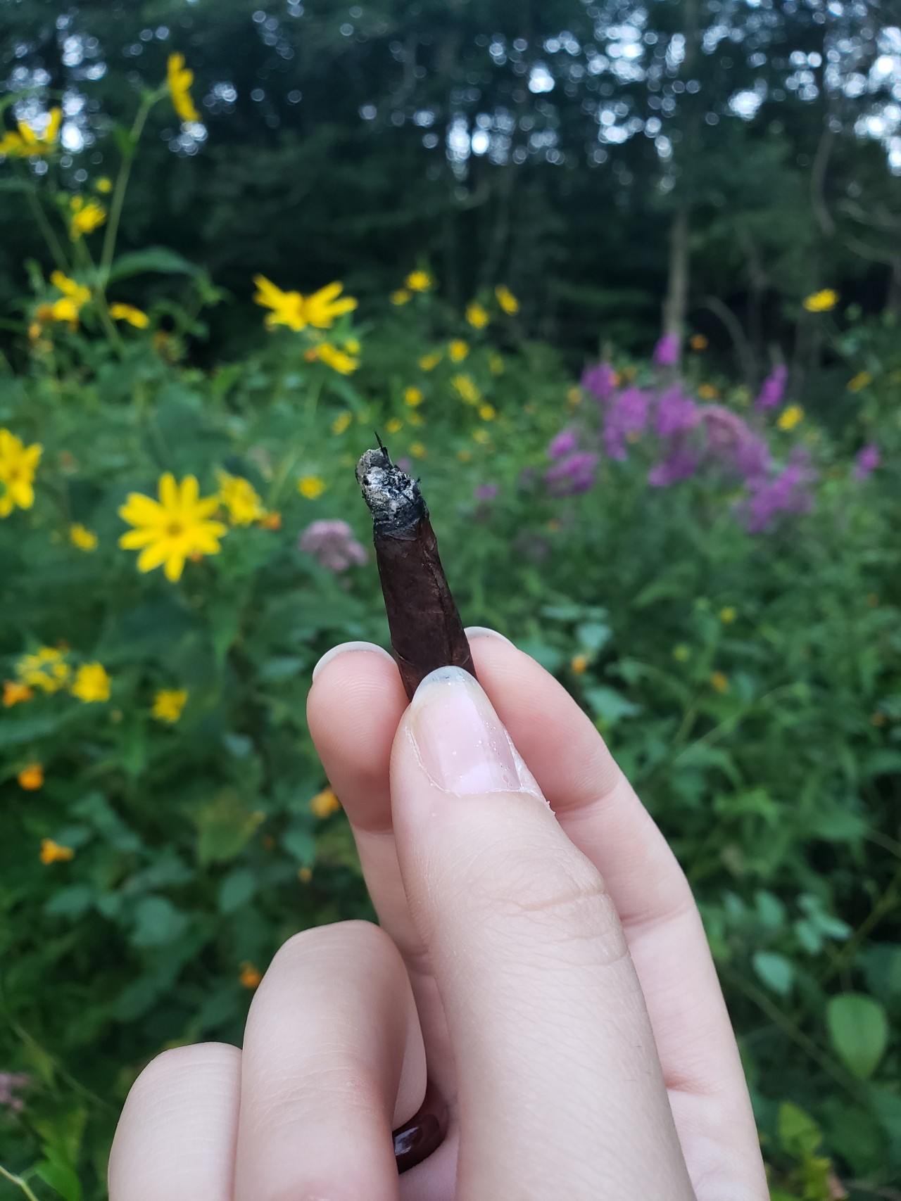 Perfect Blunt Tumblr perfect-blunt-tumblr