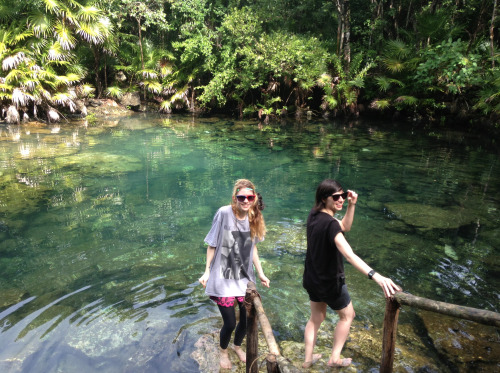 actuallygrimes:we somehow end up in a jungle on almost every tour