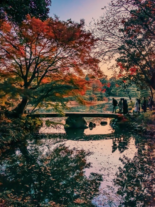 The Autumn Story Begins