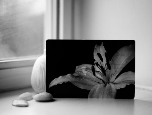 I found a wonderful white lily in my mailbox today! Thank you so much for my beautiful postcard, Kri