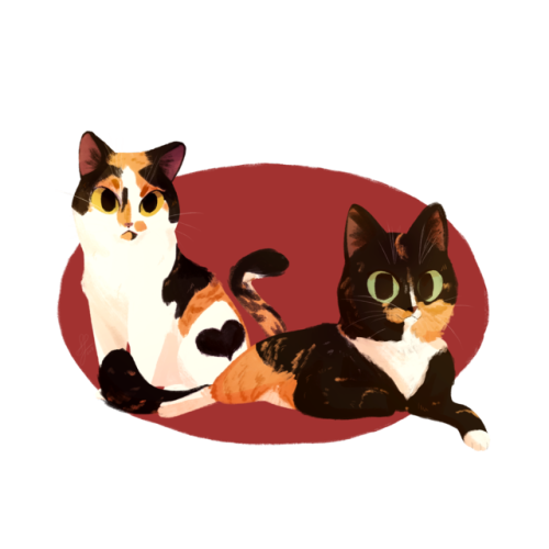 saracastically:commission of two classy calicos c;commissions | patreon