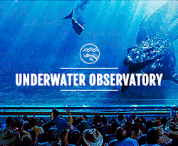 jurassicparkfilms: Some of Jurassic World’s attractions