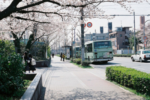fuckyeahjapanandkorea:  上賀茂 by zyu10
