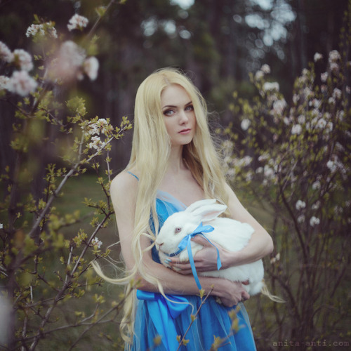 jedavu:Enchanting Fairytale-Inspired Photos by Anita Anti