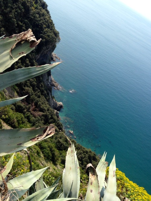 Cinque Terre day two, hiked from Corniglia to Vernazza, then took the train to Riomaggiore and Manar