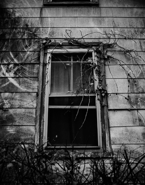 alpha-beta-and-omega.tumblr.com/post/78329877544/