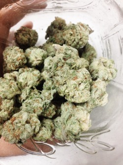 Maryjanes-Reflection:  Piale:  White Fire Og  *_* 