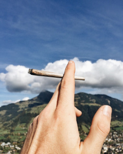 weed-queens:  ✌️ Why aren’t you getting high? 🌳