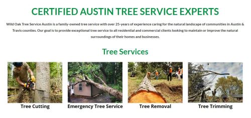 Tree Service Professionals