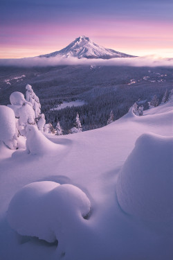 sundxwn:  Winter Bliss by Alan Howe  I hate winter but&hellip;.