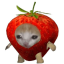 strawberrrizz