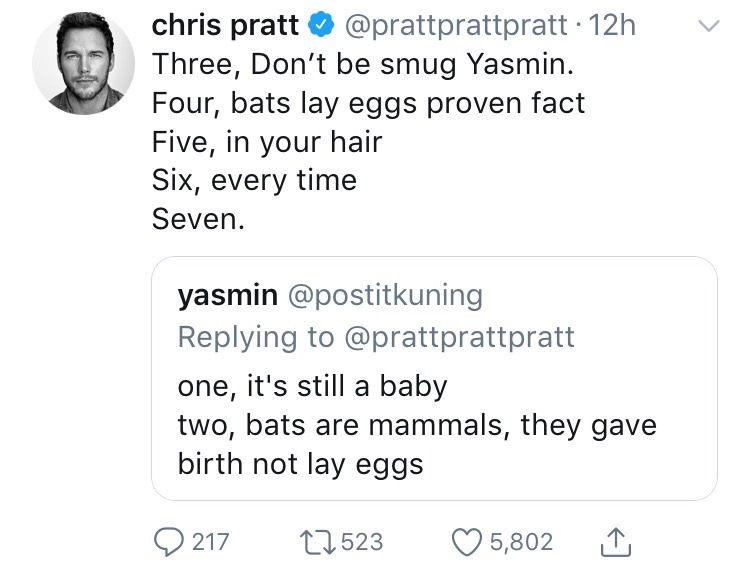 smolbean-17: Chris Pratt arguing with random people on Twitter about bats is my favorite