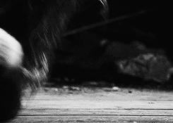 ohhelga:Nothing left to lose
