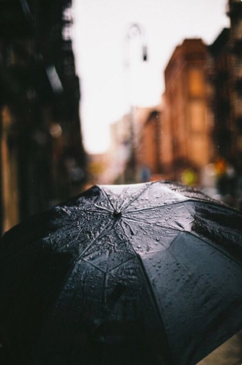 cosyrainydays: cosy rainy days 